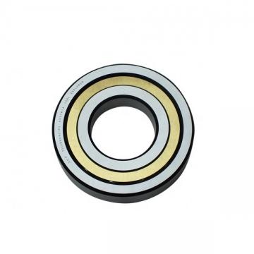 CONSOLIDATED BEARING INS 6313 M C/3  Single Row Ball Bearings