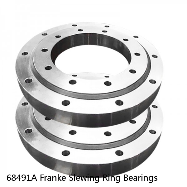 68491A Franke Slewing Ring Bearings #1 small image