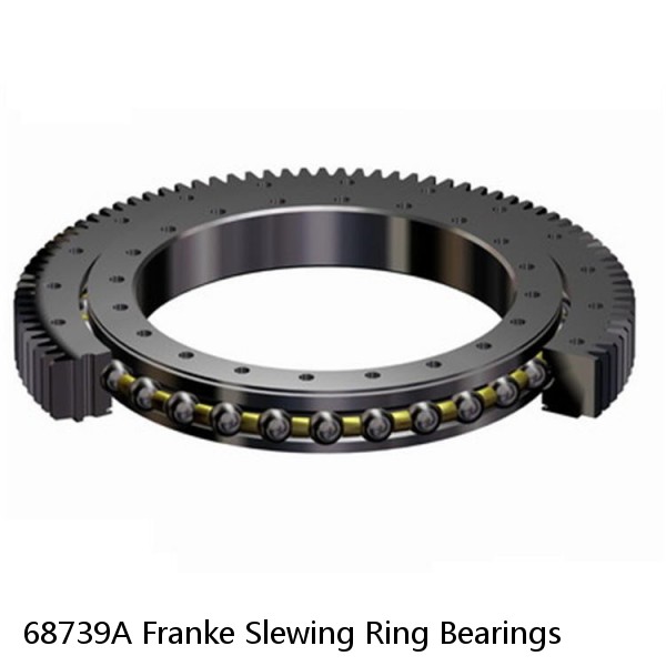 68739A Franke Slewing Ring Bearings #1 small image