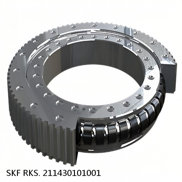 RKS. 211430101001 SKF Slewing Ring Bearings #1 small image