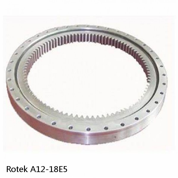 A12-18E5 Rotek Slewing Ring Bearings #1 small image