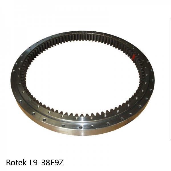 L9-38E9Z Rotek Slewing Ring Bearings #1 small image
