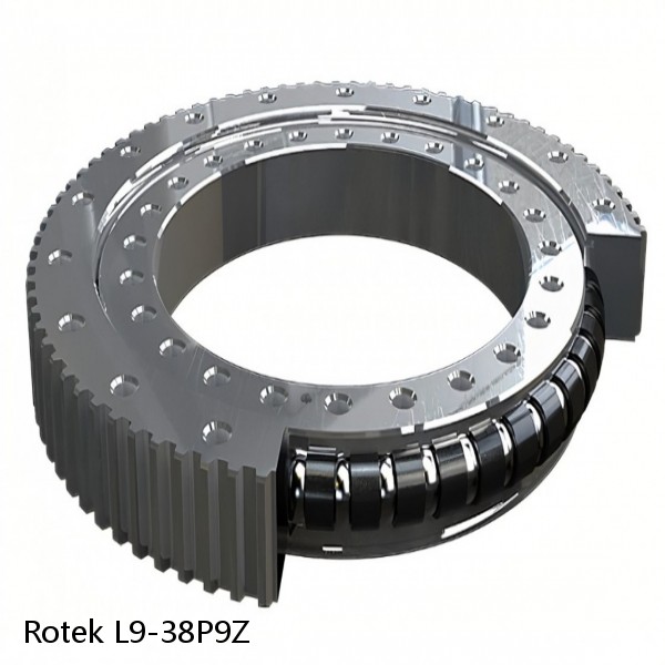 L9-38P9Z Rotek Slewing Ring Bearings #1 small image