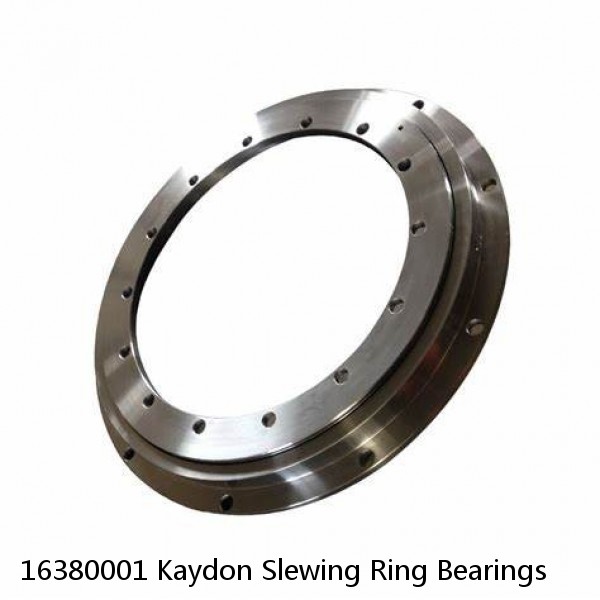 16380001 Kaydon Slewing Ring Bearings #1 image