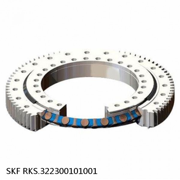 RKS.322300101001 SKF Slewing Ring Bearings #1 image