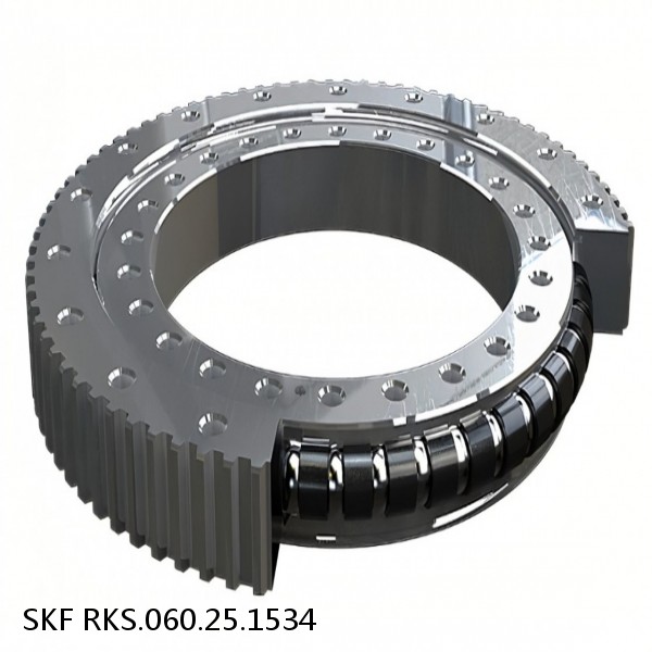 RKS.060.25.1534 SKF Slewing Ring Bearings #1 image