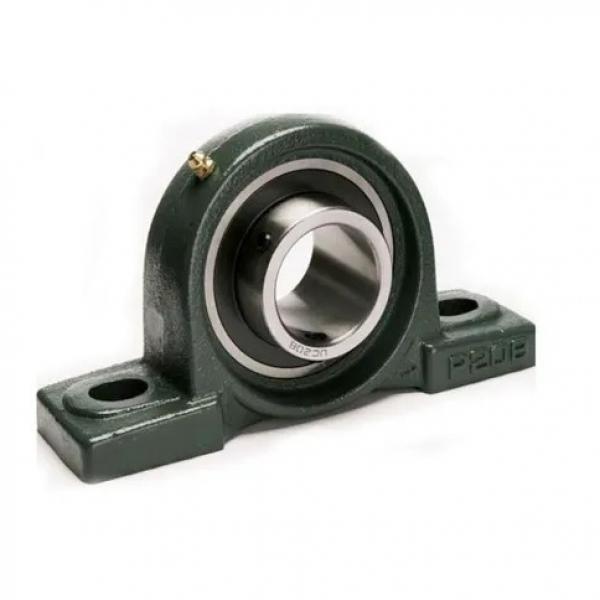 1.181 Inch | 30 Millimeter x 2.441 Inch | 62 Millimeter x 0.63 Inch | 16 Millimeter  CONSOLIDATED BEARING NU-206E  Cylindrical Roller Bearings #2 image